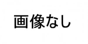 画像1: MU101-161XT   シングルレバー用カートリッジ【SANEI株式会社】 (1)