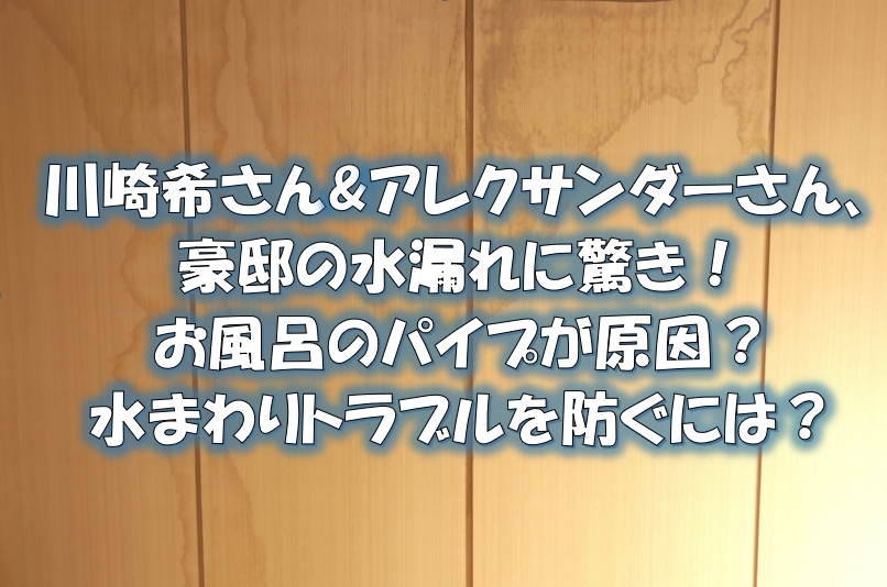 川崎希さん&アレクサンダーさん、豪邸の水漏れに驚き！お風呂のパイプが原因？水まわりトラブルを防ぐには？