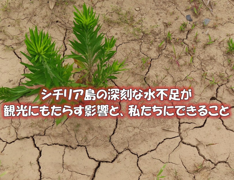 シチリア島の深刻な水不足が観光にもたらす影響と、私たちにできること