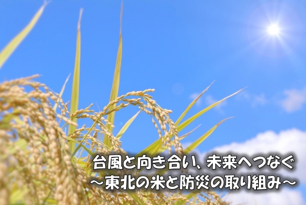 台風と向き合い、未来へつなぐ ～東北の米と防災の取り組み～